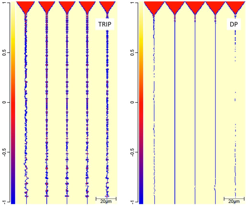 Figure 1: Phase distributions in the TRIP and the DP steel when the dendritic tips reach the weld centreline.G-4